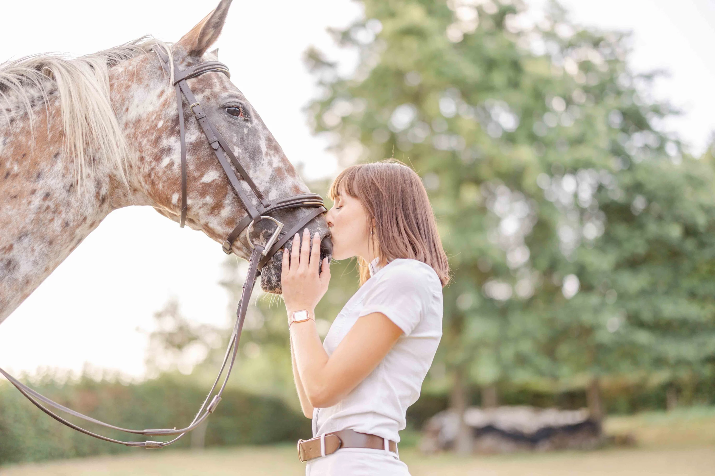 cheval bride gris beige animal